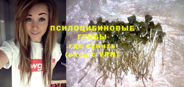 дмт Липки