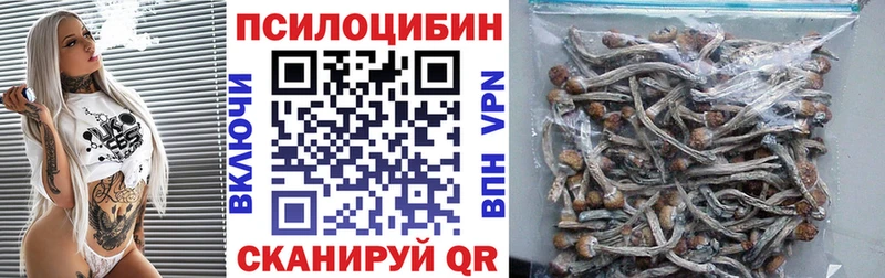 omg ТОР  Шумерля  Псилоцибиновые грибы мицелий 